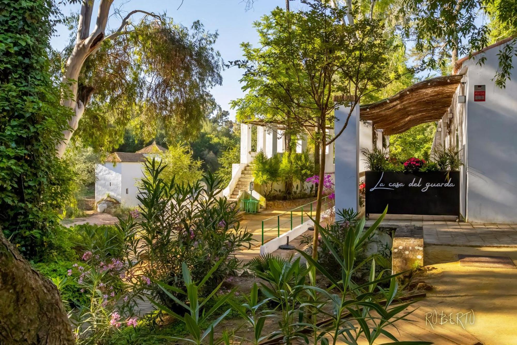Apartamento Nuevo Centrico Con Aparcamiento Privado Incluido Alcalá de Guadaira Εξωτερικό φωτογραφία